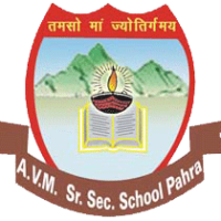AVM SR SEC SCHOOL PAHRA